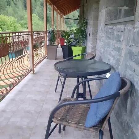 Bujtina Dodo Guest house *