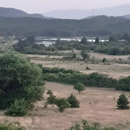 Bujtina Dodo *