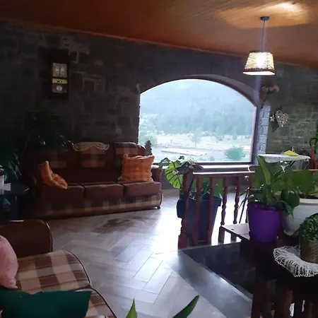 Bujtina Dodo *