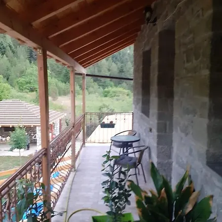 Bujtina Dodo *